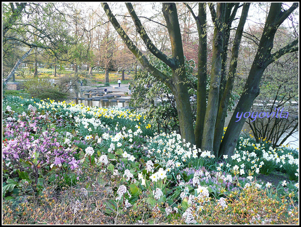 德國四月是賞花的季節 Hamburg, Germany