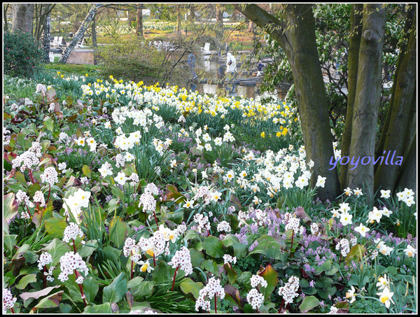 德國四月是賞花的季節 Hamburg, Germany