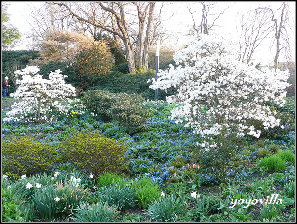 德國四月是賞花的季節 Hamburg, Germany