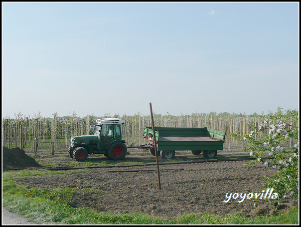 Alte Land 德國易北河岸 Elbe, Hamburg, Deutchland