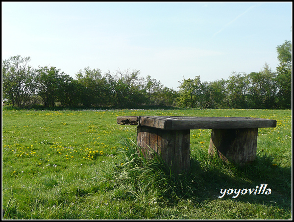 Alte Land 德國易北河岸 Elbe, Hamburg, Deutchland