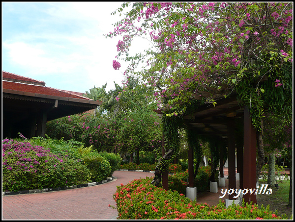 馬來西亞 蘭卡威 彩虹渡假村 Meritus Pelangi Beach Resort & Spa, Langawi, Malaysia