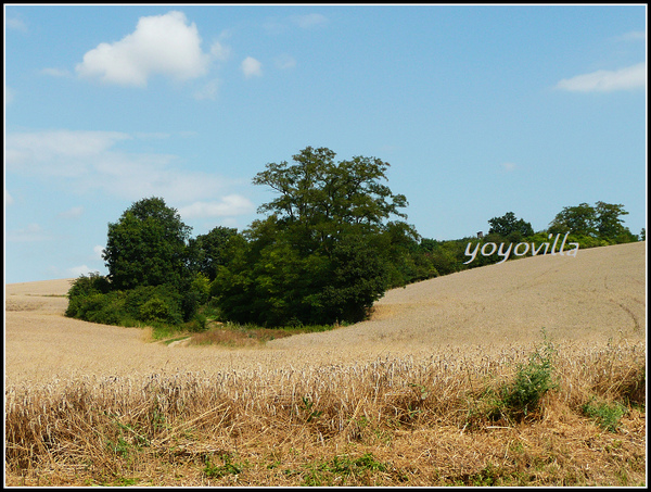 歐洲鄉村風景 contryside, Europe