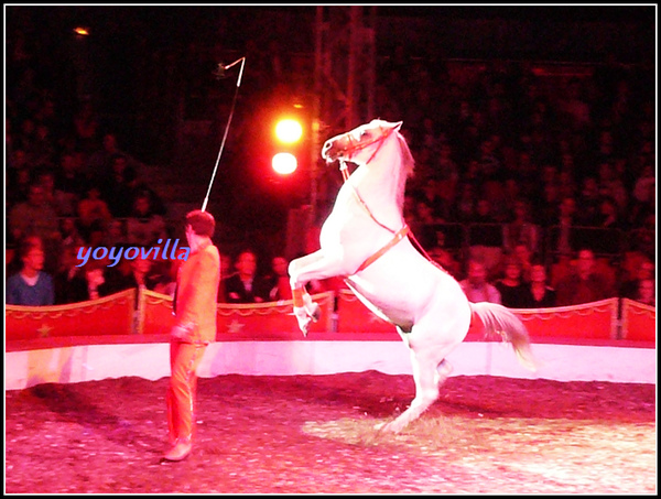 歐洲的馬戲團 circus, Germany