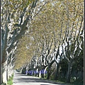 法國 普羅旺斯 聖雷米 St-Remy-de-Provence, France