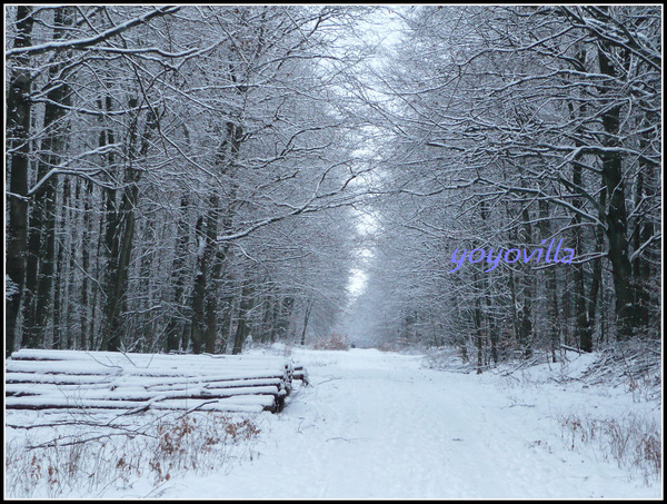 德國 下大雪的冬天 Geramny