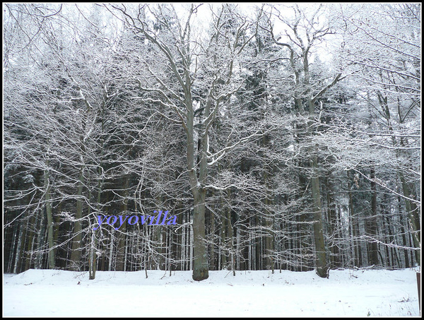 德國 下大雪的冬天 Geramny