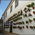 [西班牙] 安達盧西亞的春天 Andalusien, Spain