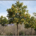 [西班牙] 安達盧西亞的春天 Andalusien, Spain