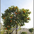 [西班牙] 安達盧西亞的春天 Andalusien, Spain