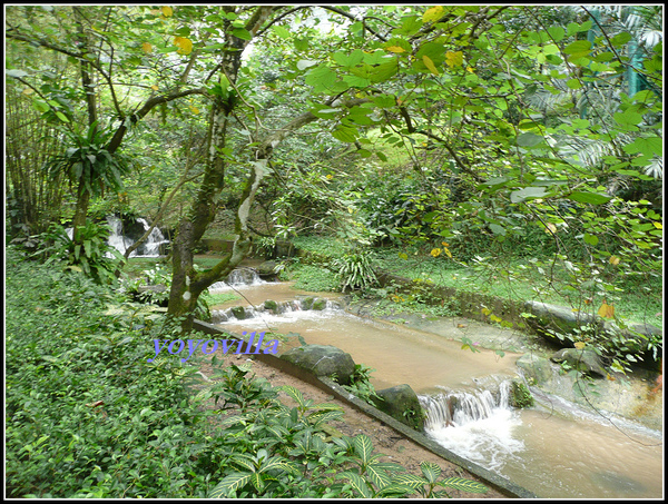 馬來西亞 吉隆坡 鳥園 Bird Park, Kualu Lumpur, Malaysia