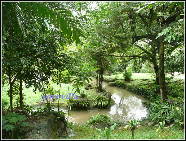 馬來西亞 吉隆坡 鳥園 Bird Park, Kualu Lumpur, Malaysia