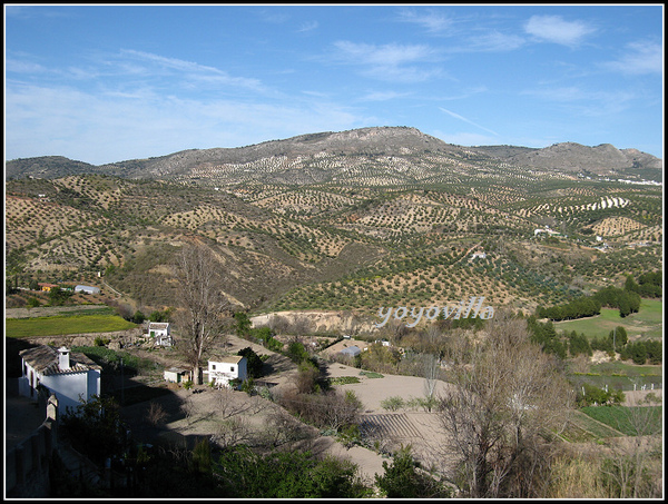 西班牙 安塔盧西亞 Priego de Cordoba, Andalusien, Spain