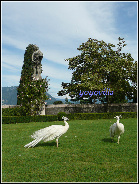 Isola Bella, Lago Maggiore, Italy 意大利 馬焦雷湖 貝拉島 