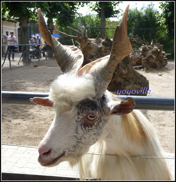 德國 漢堡 哈根貝克動物園 Tierpark Hagenbeck, Hamburg, Deutchland