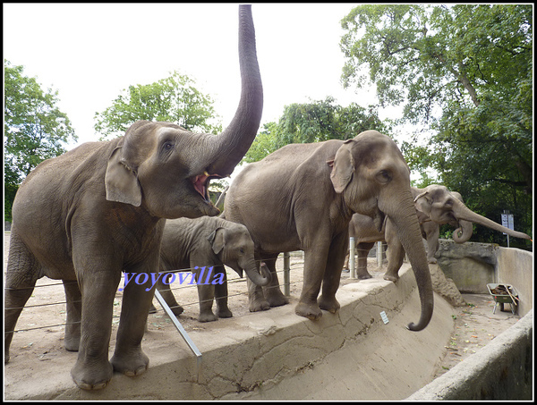 德國 漢堡 哈根貝克動物園 Tierpark Hagenbeck, Hamburg, Deutschland