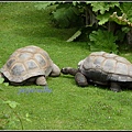 德國 漢堡 哈根貝克動物園 Tierpark Hagenbeck, Hamburg, Deutschland