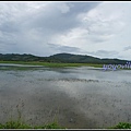 馬來西亞 蘭卡威 鄉村景色 Langkawi, Malaysia 