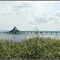 Usedom, Germany 德國 烏瑟多姆