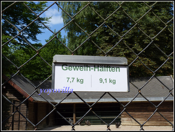 德國 漢堡 哈根貝克動物園 Tierpark Hagenbeck, Hamburg, Deutschland