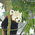 德國 漢堡 哈根貝克動物園 Tierpark Hagenbeck, Hamburg, Deutschland