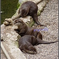 德國 漢堡 哈根貝克動物園 Tierpark Hagenbeck, Hamburg, Deutschland