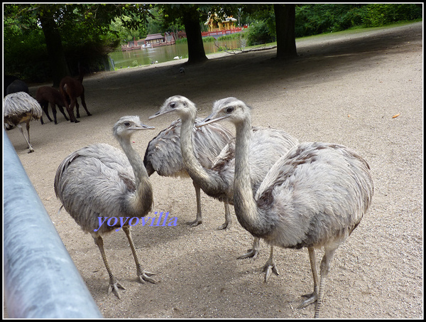 德國 漢堡 哈根貝克動物園 Tierpark Hagenbeck, Hamburg, Deutchland