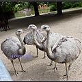 德國 漢堡 哈根貝克動物園 Tierpark Hagenbeck, Hamburg, Deutschland