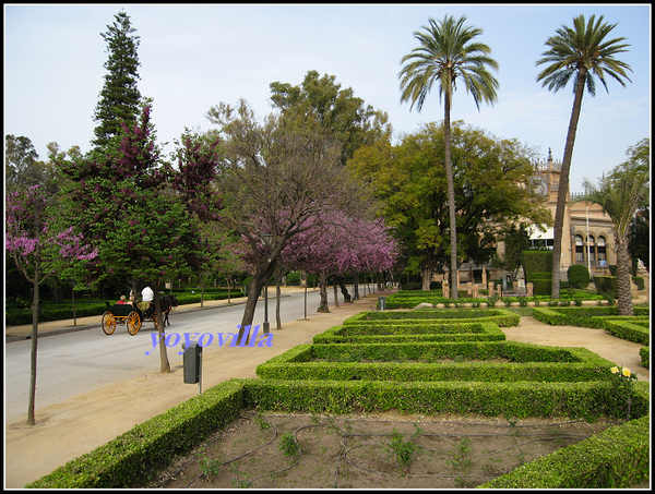 西班牙 賽維利亞 西班牙廣場 Plaza de Espana, Sevilla, Spain