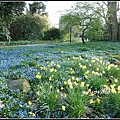 德國 春天 German spring time 