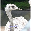 德國 漢堡 哈根貝克動物園 Tierpark Hagenbeck, Hamburg, Deutschland