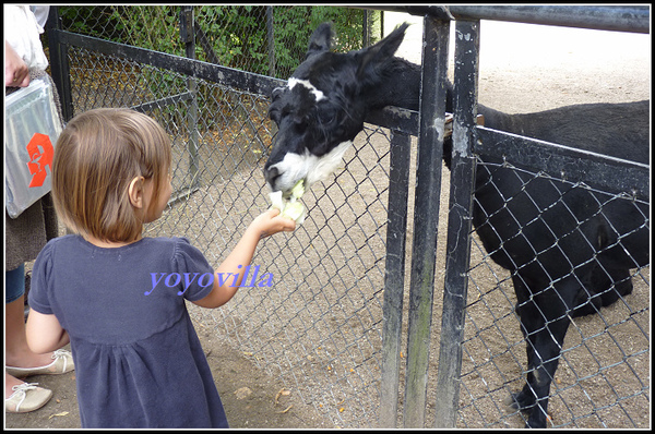 德國 漢堡 哈根貝克動物園 Tierpark Hagenbeck, Hamburg, Deutschland