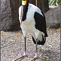 德國 漢堡 哈根貝克動物園 Tierpark Hagenbeck, Hamburg, Deutschland