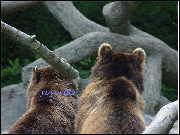 德國 漢堡 哈根貝克動物園 Tierpark Hagenbeck, Hamburg, Deutschland