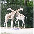 德國 漢堡 哈根貝克動物園 Tierpark Hagenbeck, Hamburg, Deutschland