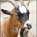 德國 漢堡 哈根貝克動物園 Tierpark Hagenbeck, Hamburg, Deutschland