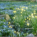 德國 春天 German spring time 