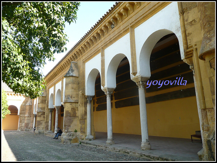 西班牙 哥多華 清真寺 Mezquita, Cordoba, Spain