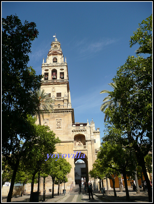 西班牙 哥多華 清真寺 Mezquita, Cordoba, Spain