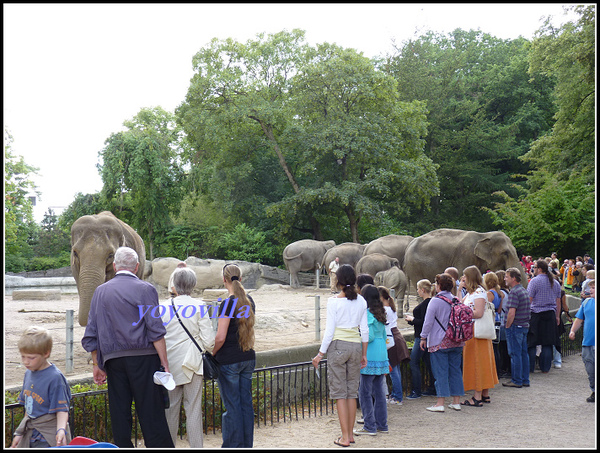 德國 漢堡 哈根貝克動物園 Tierpark Hagenbeck, Hamburg, Deutschland