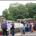 德國 漢堡 哈根貝克動物園 Tierpark Hagenbeck, Hamburg, Deutschland