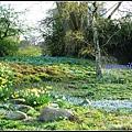 德國 春天 German spring time 