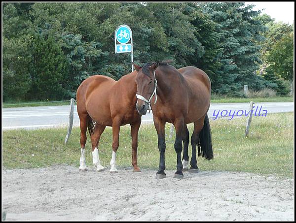 丹麥 羅莫島 Rømø (Röm), Denmark (Dänemark)