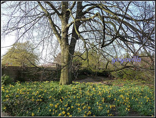 德國 春天 German spring time 