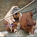 德國 漢堡 哈根貝克動物園 Tierpark Hagenbeck, Hamburg, Deutschland