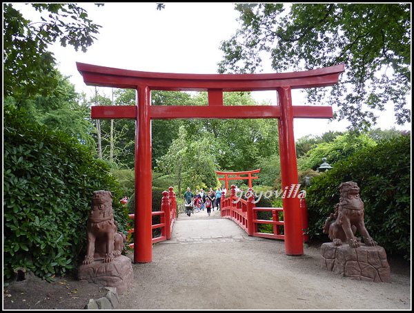 德國 漢堡 哈根貝克動物園 Tierpark Hagenbeck, Hamburg, Deutschland