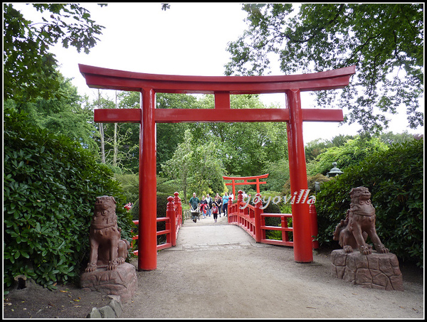 德國 漢堡 哈根貝克動物園 Tierpark Hagenbeck, Hamburg, Deutchland