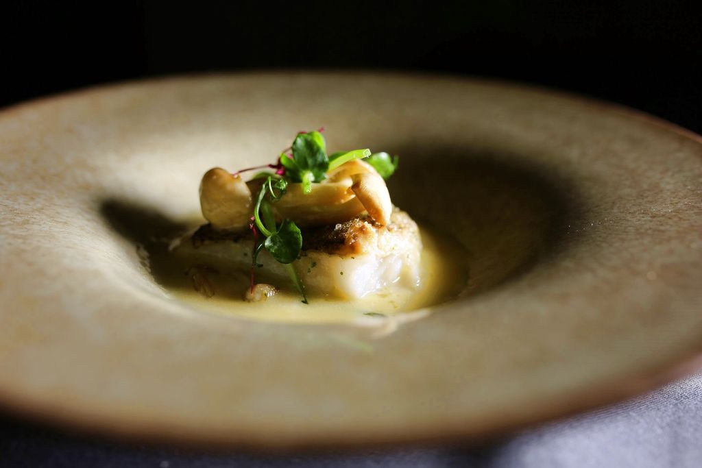 【高雄】帕可麗酒店 艾可廚坊│不說你不會知道的高檔晚宴│月光低調奢華風．桑尼瘦不了