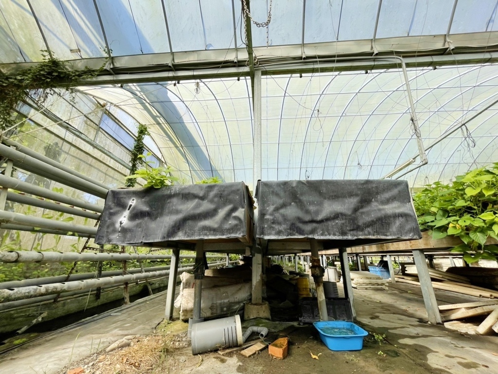 /tmp/phpQnUZgJ /tmp/phpQnUZgJ