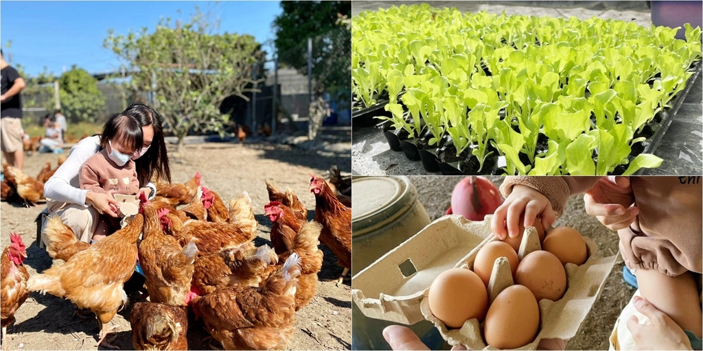 /tmp/phpwtsvo0 /tmp/phpwtsvo0